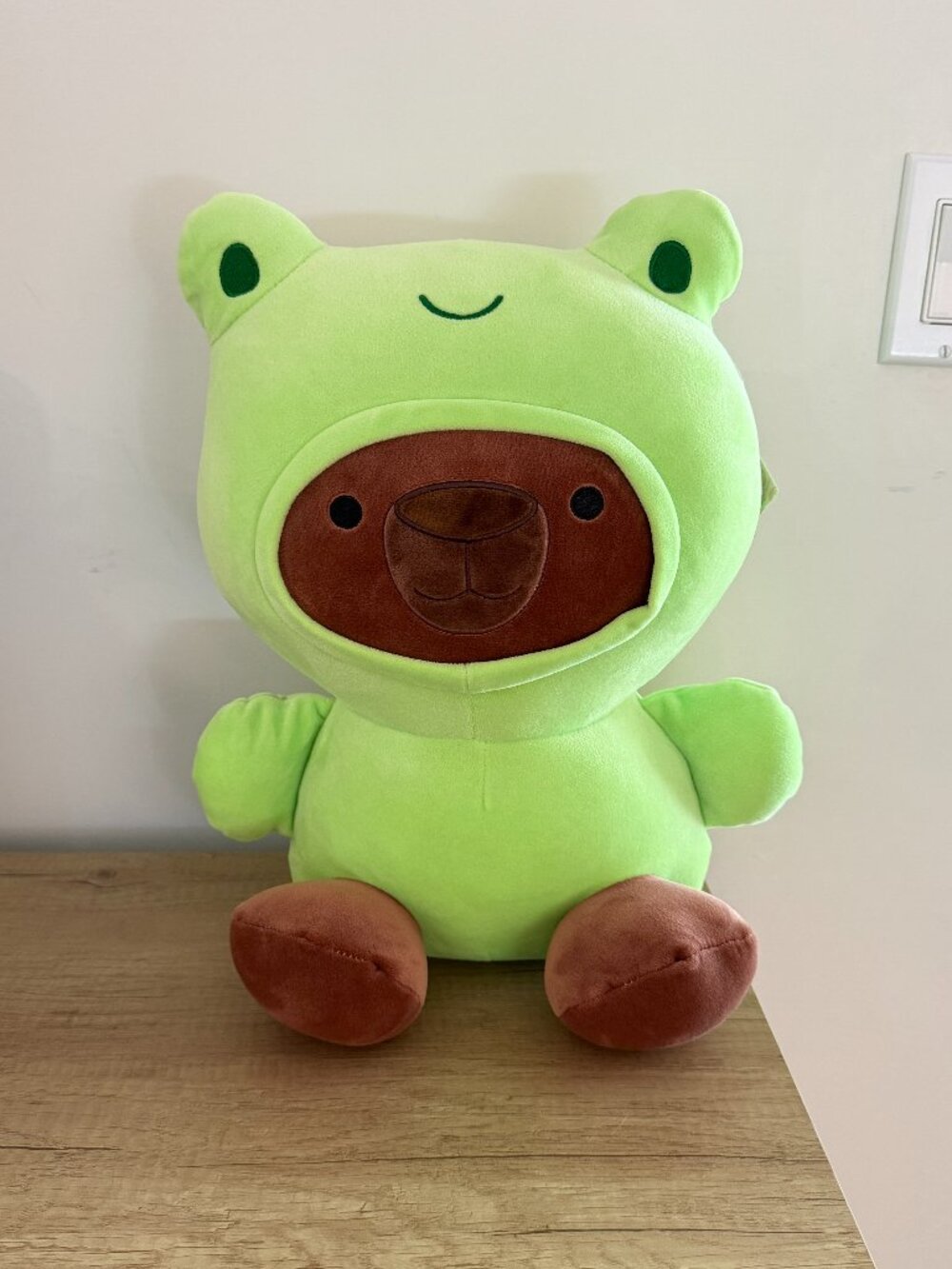 NWT Super Soft Bear Plush in Frog Costume Stuffed Toy 14"